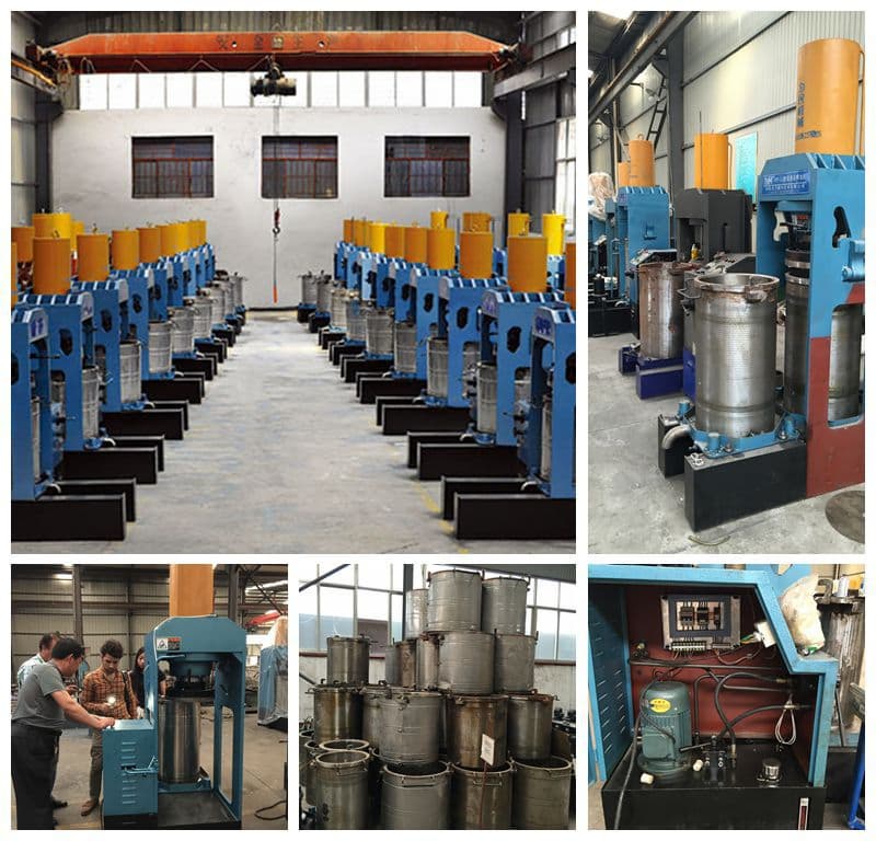 Virgin coconut_ palm Oil Press Processing turnkey project